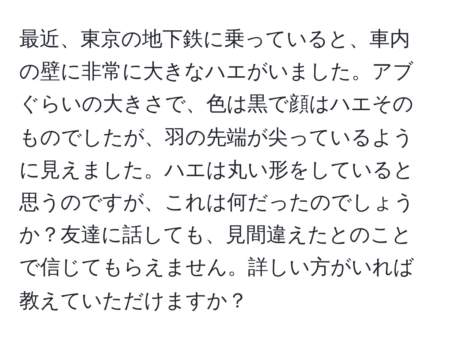 最近、東京の地下鉄に乗っていると、車内の壁に非常に大きなハエがいました。アブぐらいの大きさで、色は黒で顔はハエそのものでしたが、羽の先端が尖っているように見えました。ハエは丸い形をしていると思うのですが、これは何だったのでしょうか？友達に話しても、見間違えたとのことで信じてもらえません。詳しい方がいれば教えていただけますか？