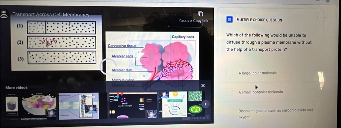 Transport Across Cell Membranes
Passive Copy link MULTIPLE CHOICE QUESTION
(1)
Capillary beds Which of the following would be unable to
(2) diffuse through a plasma membrane without
Connective tissue
the help of a transport protein?
(3) Alveolar sacs
Alveolar duct
A large, polar molecule
Mucous gland
More videos
×
A small, nonpolar molecule
10
Dissolved gasses such as carbon dioxide and
oxygen