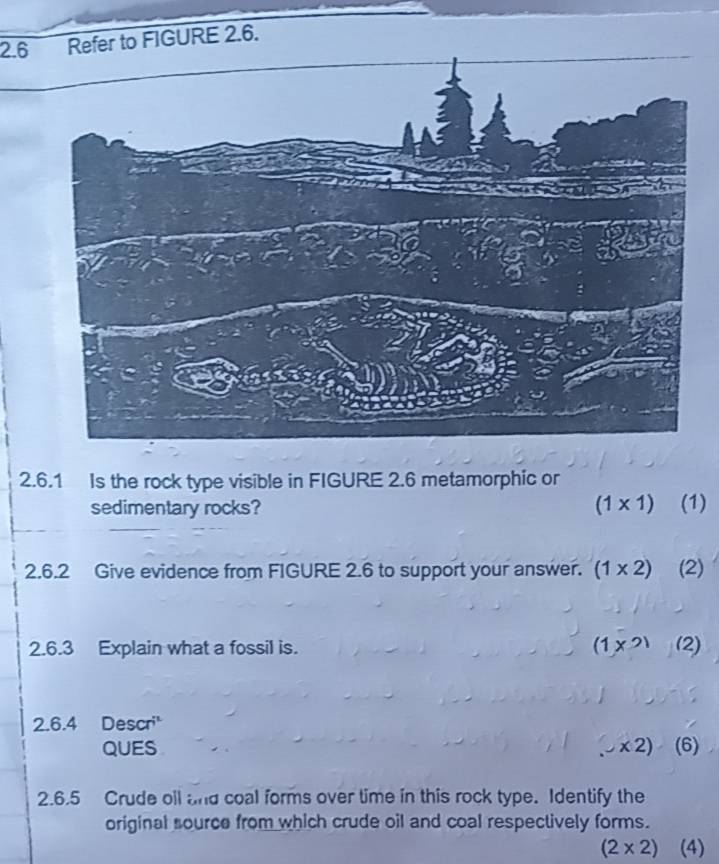 Solved: 2.6E 2.6. 2.6.1 Is the rock type visible in FIGURE 2.6 ...