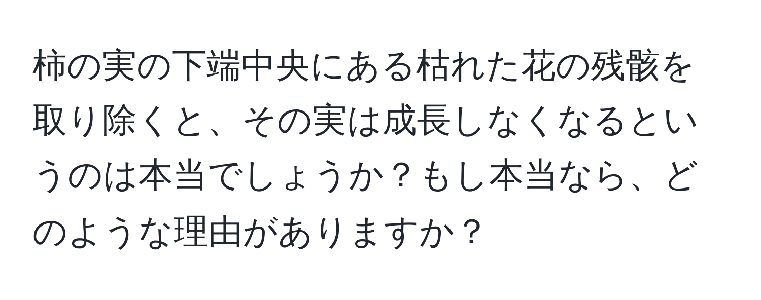 柿の実の下端中央にある枯れた花の残骸を取り除くと、その実は成長しなくなるというのは本当でしょうか？もし本当なら、どのような理由がありますか？