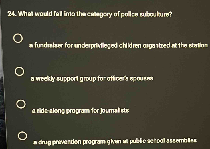 What would fall into the category of police subculture?
a fundraiser for underprivileged children organized at the station
a weekly support group for officer's spouses
a ride-along program for journalists
a drug prevention program given at public school assemblies