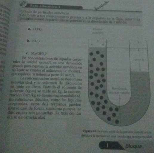 Reto educativo 3 
Balins 
Resfönde 
a pris 
Cálculo de partículas osmóticas 
a b . 
Conforme a tus conocimientos previos y a lo expuesto en la Guía, determina 
ents 
¿cuántos osmol de partículas se generan en la disociación de 2 mol de: 
a. H_2PO_4
cime gé n 
alto 
r Dan b. NH_4+
gench 
does c. Mg(OH)
En concentraciones de líquidos corpo 
rales la unidad osmol/L es una demasiado 
grande para expresar la actividad osmótica, en 
su lugar se emplea el miliosmol/L o mosm/L 
a que equivale la milésima parte del osm/L. 
La concentración osm/L se denomina 
osmolaridad y el volumen de disolución 
se mide en litros. Cuando el volumen de 
solvente (agua) se mide en kg, la concen 
tración Osm/kg se denomina osmolalidad. 
En soluciones diluidas, como los líquidos 
corporales, estos dos términos pueden 
usarse casi de forma sinónima porque las 
diferencias son pequeñas. Es más común 
el uso de osmolaridad 
Figura 63, Demestración de la presión nanótica que 
produce la ósmosis en una membuana semipermeable. 
Bioque