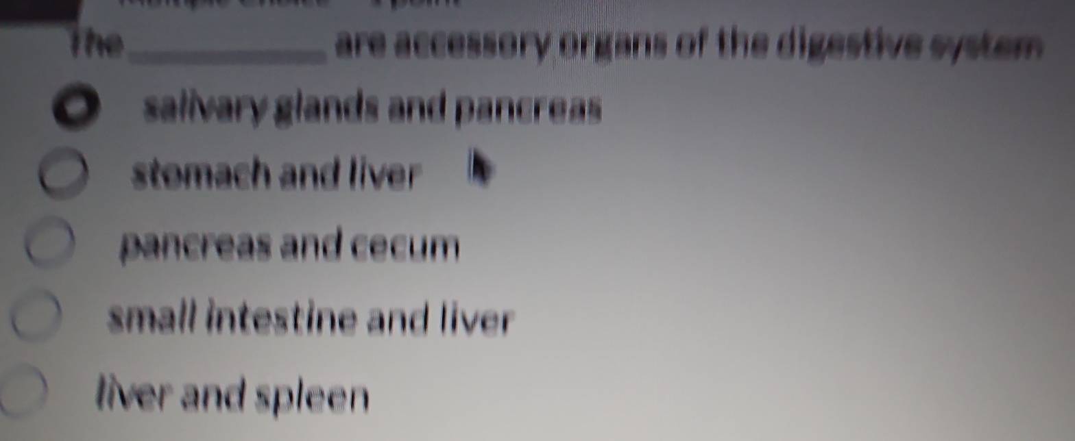 The_ are accessory organs of the digestive system.
O salivary glands and pancreas
stomach and liver
pancreas and cecum
small intestine and liver
liver and spleen