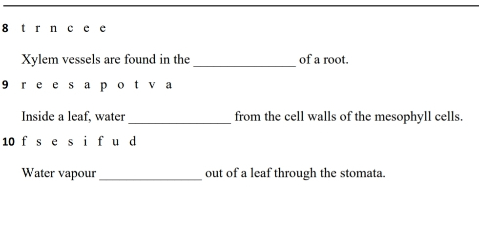 Xylem vessels are found in the _of a root. 
9 r e e s a p o t v a 
Inside a leaf, water _from the cell walls of the mesophyll cells. 
10 f s e s i fu d 
Water vapour _out of a leaf through the stomata.