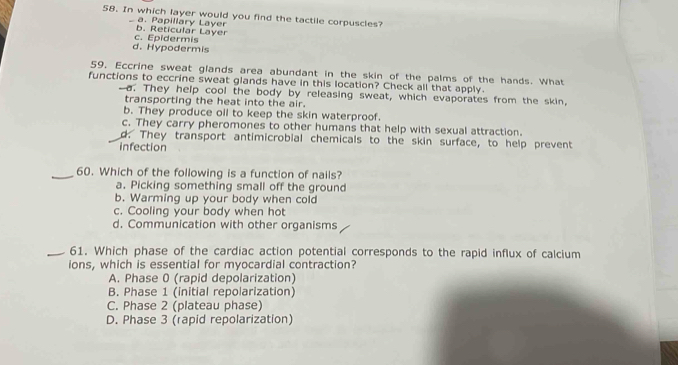 In which layer would you find the tactile corpuscles?
a. Papillary Layer b. Reticular Layer
d. Hypodermis c. Epidermis
59, Eccrine sweat glands area abundant in the skin of the palms of the hands. What
functions to eccrine sweat glands have in this location? Check all that apply.
a. They help cool the body by releasing sweat, which evaporates from the skin,
transporting the heat into the air.
b. They produce oll to keep the skin waterproof.
c. They carry pheromones to other humans that help with sexual attraction.
d. They transport antimicrobial chemicals to the skin surface, to help prevent
infection
60. Which of the following is a function of nails?
a. Picking something small off the ground
b. Warming up your body when cold
c. Cooling your body when hot
d. Communication with other organisms
61. Which phase of the cardiac action potential corresponds to the rapid influx of calcium
ions, which is essential for myocardial contraction?
A. Phase 0 (rapid depolarization)
B. Phase 1 (initial repolarization)
C. Phase 2 (plateau phase)
D. Phase 3 (rapid repolarization)