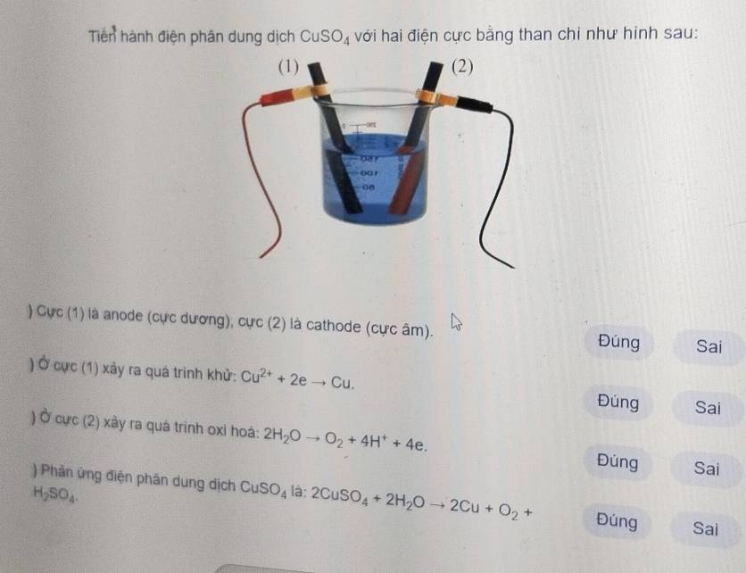 Tiền hành điện phân dung dịch CuSO_4 với hai điện cực bằng than chỉ như hình sau: 
) Cực (1) là anode (cực dương), cực (2) là cathode (cực âm). Đúng Sai 
) Ở CL rc (1) xảy ra quá trình khử: Cu^(2+)+2eto Cu. Đúng 
Sai 
1 C Y curc(2) ) xây ra quá trình oxi hoá: 2H_2Oto O_2+4H^++4e. Đúng 
Sai
H_2SO_4. 
) Phản ứng điện phân dung dịch CuSO_4 15 :2CuSO_4+2H_2Oto 2Cu+O_2+ Đúng Sai