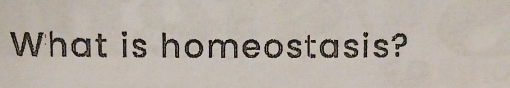 What is homeostasis?