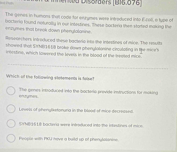 ind Path
hented Disórders [B16.076]
The genes in humans that code for enzymes were introduced into E.coli, a type of
bacteria found naturally in our intestines. These bacteria then started making the
enzymes that break down phenylalanine.
Researchers introduced these bacteria into the intestines of mice. The results
showed that SYNB1618 broke down phenylalanine circulating in the mice's
intestine, which lowered the levels in the blood of the treated mice.
Which of the following statements is false?
The genes introduced into the bacteria provide instructions for making
enzymes.
Levels of phenylketonuria in the blood of mice decreased.
SYNB1618 bacteria were introduced into the intestines of mice.
People with PKU have a build up of phenylalanine.