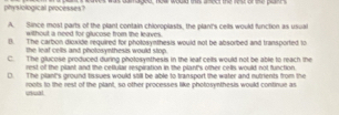 physiological processes?
A. Since most parts of the plant contain chioroplasts, the plant's cells would function as usual
without a need for glucose from the leaves.
8. The carbon dioxide required for photosymthesis would not be absorbed and transported to
the leat cells and pholosynthesis would stop .
C. The glucose produced during photosynthesis in the leaf cells would not be able to reach the
rest of the pilant and the cellular respiration in the plant's other cells would not function.
D. The plant's ground tissues would still be able to transport the water and nutrients from the
ecal roots to the rest of the plant, so other processes like photosynthesis would continue as