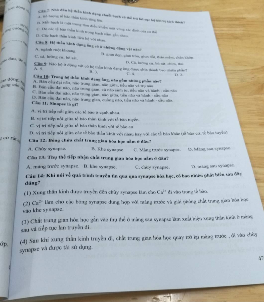 son đòng sí  Câu 7: Nhờ đầu hệ thần kinh dạng chuỗi hạch có thể trá lời cục bộ khi bị kích thích?
A. Số hượng tế bào thằn kinh tăng lên,
SV √
1. Mỗi hạch là một trung tâm điều khiển một vùng xác định của cơ thể
ng  u ờn  g
C. Do các tế bào thần kinh trong hạch nằm gần nhau,
D. Các hạch thần kinh liên hệ với nhau.
Câu 8: Hệ thần kinh dạng ống có ở những động vật nào?
A. ngành ruột khoang
B. giun dẹp, giun tròn, giun đổt, thân mềm, chân khớp
C. cá, lưỡng cư, bò sát.
D. Cá, lưỡng cư, bò sát, chim, thú.
Câu 9: Não bộ ở động vật có hệ thần kinh đạng ống được chia thành bao nhiêu phần?
A. 5. B. 3. C. 4.
D. 2.
Câu 10: Trong hệ thần kinh dạng ống, não gồm những phần nào?
lao động, n A. Bán cầu đại não, não trung gian, não giữa, tiểu não và trụ não
c
dụng các B. Bản cầu đại não, não trung gian, cú não sinh tư, tiểu não và hành - cầu não
C. Bán cầu đại não, não trung gian, não giữa, tiểu não và hành - cầu não
D. Bán cầu đại não, não trung gian, cuống não, tiểu não và hành - cầu não.
Câu 11: Sinapse là gì?
A. vị trí tiếp nối giữa các tế bào ở cạnh nhau.
B. vị trí tiếp nối giữa tế bào thần kinh với tế bào tuyến.
C. vị trí tiếp nối giữa tế bào thần kinh với tế bào cơ.
D. vị trí tiếp nối giữa các tế bào thần kinh với nhau hay với các tế bào khác (tế bào cơ, tế bào tuyển)
co rút  Câu 12: Bóng chứa chất trung gian hóa học nằm ở đâu?
A. Chùy synapse. B. Khe synapse. C. Màng trước synapse. D. Màng sau synapse.
Câu 13: Thụ thể tiếp nhận chất trung gian hóa học nằm ở đâu?
A. màng trước synapse. B. khe synapse. C. chùy synapse. D. màng sau synapse.
Câu 14: Khi nói về quá trình truyền tin qua qua synapse hóa học, có bao nhiêu phát biểu sau đây
đúng?
(1) Xung thần kinh được truyền đến chùy synapse làm cho Ca^(2+) đi vào trong tế bào.
(2) Ca^(2+) làm cho các bóng synapse dung hợp với màng trước và giải phóng chất trung gian hóa học
vào khe synapse.
(3) Chất trung gian hóa học gắn vào thụ thể ở màng sau synapse làm xuất hiện xung thần kinh ở màng
sau và tiếp tục lan truyền đi.
ớp. (4) Sau khi xung thần kinh truyền đi, chất trung gian hóa học quay trở lại màng trước , đi vào chùy
synapse và được tái sử dụng.
47