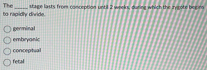 The_ stage lasts from conception until 2 weeks, during which the zygote begins
to rapidly divide.
germinal
embryonic
conceptual
fetal