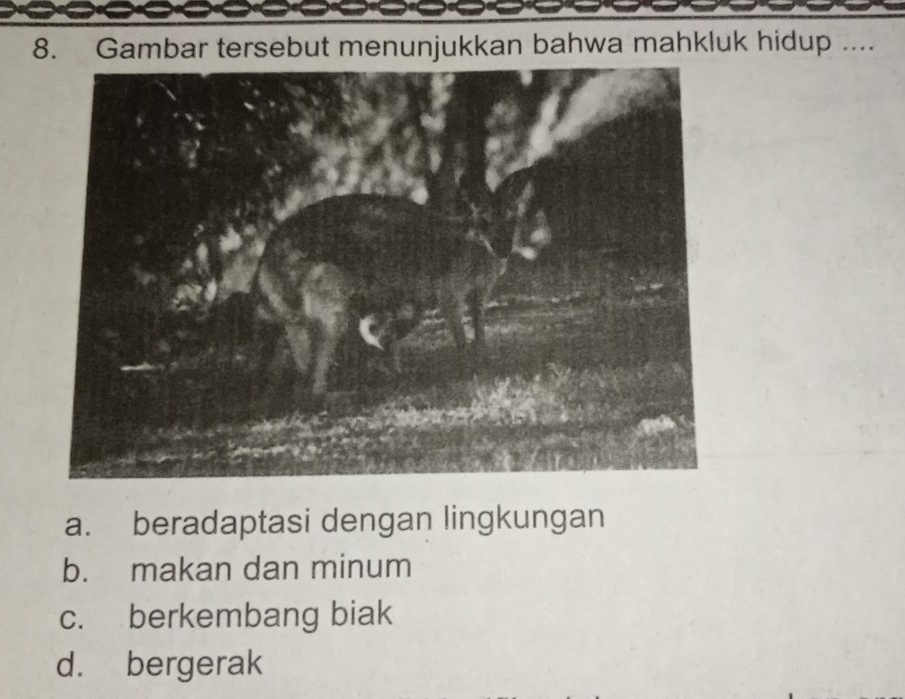 Gambar tersebut menunjukkan bahwa mahkluk hidup ....
a. beradaptasi dengan lingkungan
b. makan dan minum
c. berkembang biak
d. bergerak