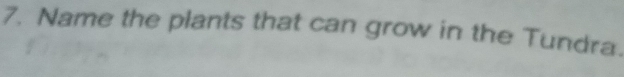 Name the plants that can grow in the Tundra.