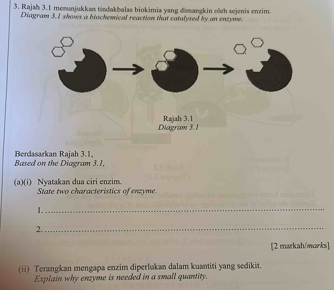 Rajah 3.1 menunjukkan tindakbalas biokimia yang dimangkin oleh sejenis enzim. 
Diagram 3.1 shows a biochemical reaction that catalysed by an enzyme. 
Berdasarkan Rajah 3.1, 
Based on the Diagram 3.1, 
(a)(i) Nyatakan dua ciri enzim. 
State two characteristics of enzyme. 
1. 
_ 
2. 
_ 
[2 markah/marks] 
(ii) Terangkan mengapa enzim diperlukan dalam kuantiti yang sedikit. 
Explain why enzyme is needed in a small quantity.