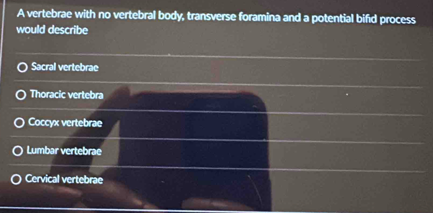 A vertebrae with no vertebral body, transverse foramina and a potential bifid process
would describe
Sacral vertebrae
Thoracic vertebra
Coccyx vertebrae
Lumbar vertebrae
Cervical vertebrae