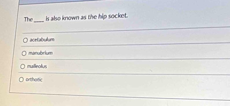 The_ is also known as the hip socket.
acetabulum
manubrium
malleolus
orthotic