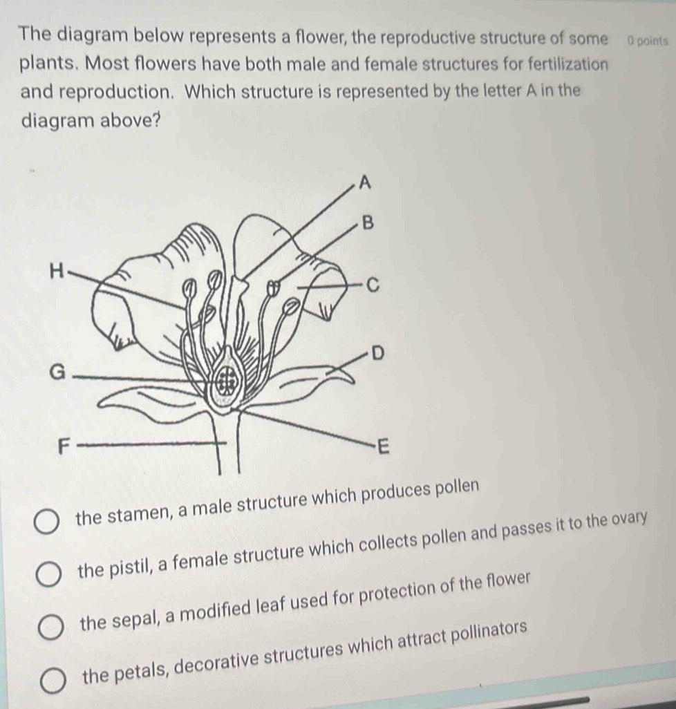 The diagram below represents a flower, the reproductive structure of some 0 points
plants. Most flowers have both male and female structures for fertilization
and reproduction. Which structure is represented by the letter A in the
diagram above?
the stamen, a male structure which prodes pollen
the pistil, a female structure which collects pollen and passes it to the ovary
the sepal, a modified leaf used for protection of the flower
the petals, decorative structures which attract pollinators