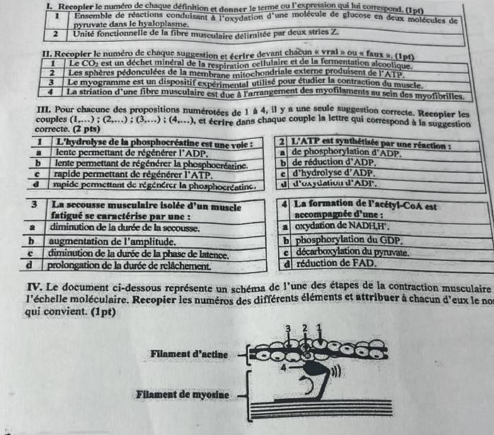 Recopler le numéro de chaque définition et donner le terme ou l'expression qui lui correspond. (1pt)
1  Ensemble de réactions conduisant à l'oxydation d'une molécule de glucose en deux molécules de
pyruvate dans le hyaloplasme.
2  Unité fonctionnelle de la fibre musculaire délimitée par deux stries Z.
II. Recopier le numéro de chaque suggestion et écrire devant chaœun « vrai » ou « faux ». (1pt)
1 Le CO2 est un déchet minéral de la respiration cellulaire et de la fermentation alcoolique.
2 Les sphères pédonculées de la membrane mitochondriale externe produisent de l'ATP.
3 Le myogramme est un dispositif expérimental utilisé pour étudier la contraction du muscle.
4 La striation d'une fibre musculaire est due à l'arrangement des myofilaments au sein des myofibrilles.
III. Pour chacune des propositions numérotées de 1 à 4, il y a une seule suggestion correcte. Recopier les
couples (1,...);(2,...);(3,...);(4,...) , et écrire dans chaque couple la lettre qui correspond à la suggestion
correcte. (2 pts)
La formation de l'acétyl-CoA est
accompagnée d'une :
oxydation de NADH,H'.
phosphorylation du GDP
décarboxylation du pyruvate.
réduction de FAD.
IV. Le document ci-dessous représente un schéma de l'une des étapes de la contraction musculaire
l'échelle moléculaire. Recopier les numéros des différents éléments et attribuer à chacun d'eux le no
qui convient. (1pt)
3 2
Filament d’actine
4
Filament de myosine