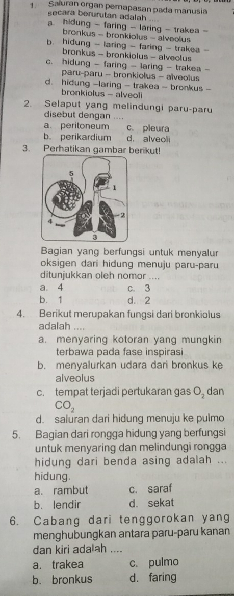 Saluran organ pernapasan pada manusia
secara berurutan adalah .
a. hidung - faring - laring - trakea -
bronkus - bronkiolus - alveolus
b. hidung - laring - faring - trakea -
bronkus - bronkiolus - alveolus
c. hidung - faring - laring - trakea -
paru-paru -- bronkiolus - alveolus
d. hidung -laring - trakea - bronkus -
bronkiolus - alveoli
2. Selaput yang melindungi paru-paru
disebut dengan ....
a peritoneum c. pleura
b. perikardium d. alveol
3. Perhatikan gambar berikut!
Bagian yang berfungsi untuk menyalur
oksigen dari hidung menuju paru-paru
ditunjukkan oleh nomor ....
a. 4 c. 3
b. 1 d. 2
4. Berikut merupakan fungsi dari bronkiolus
adalah ....
a. menyaring kotoran yang mungkin
terbawa pada fase inspirasi
b. menyalurkan udara dari bronkus ke
alveolus
c. tempat terjadi pertukaran gas O_2 dan
CO_2
d. saluran dari hidung menuju ke pulmo
5. Bagian dari rongga hidung yang berfungsi
untuk menyaring dan melindungi rongga
hidung dari benda asing adalah ...
hidung.
a. rambut c. saraf
b. lendir d. sekat
6. Cabang dari tenggorokan yang
menghubungkan antara paru-paru kanan
dan kiri adalah ___
a. trakea c. pulmo
b. bronkus d. faring