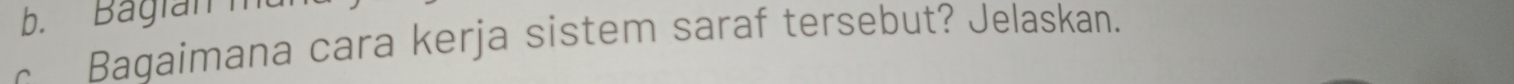 Bagian m
Bagaimana cara kerja sistem saraf tersebut? Jelaskan.