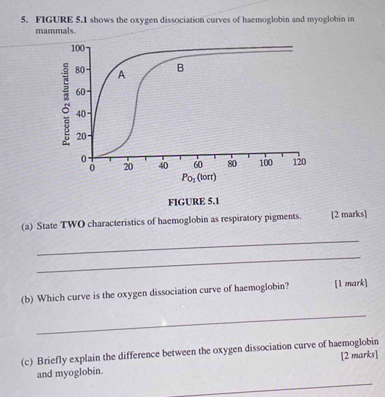 FIGURE 5.1 shows the oxygen dissociation curves of haemoglobin and myoglobin in 
mammals.
100
80 A B
60
40
20
0
0 20 40 60 80 100 120
P_O_1 (torr) 
FIGURE 5.1 
(a) State TWO characteristics of haemoglobin as respiratory pigments. [2 marks] 
_ 
_ 
(b) Which curve is the oxygen dissociation curve of haemoglobin? [1 mark] 
_ 
(c) Briefly explain the difference between the oxygen dissociation curve of haemoglobin 
_ 
and myoglobin. [2 marks]