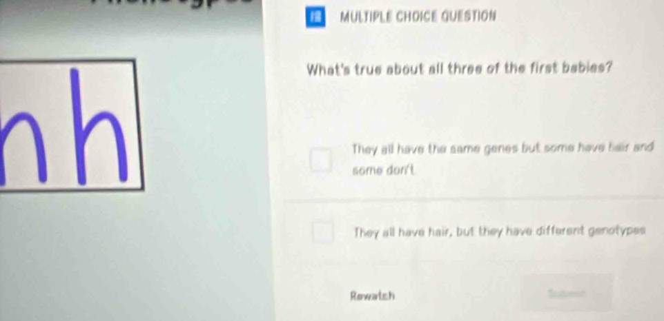 QUESTION
What's true about all three of the first babies?
They all have the same genes but some have hair and
some don't
They all have hair, but they have different genotypes
Rewatsh Intent