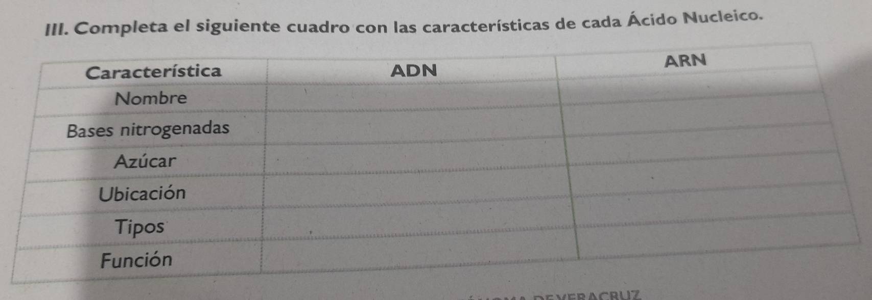 Completa el siguiente cuadro con las características de cada Ácido Nucleico.