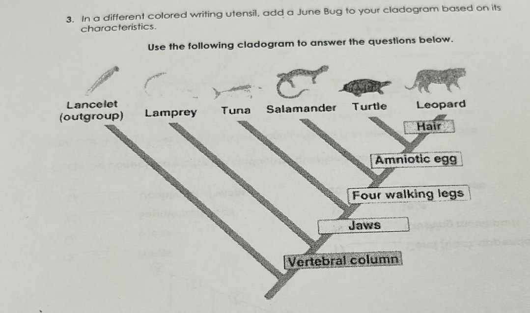 Solved: In a different colored writing utensil, add a June Bug to your ...