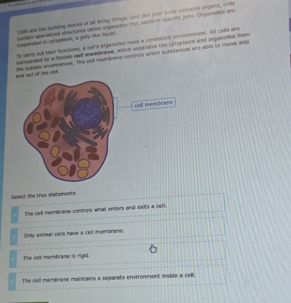 a shrichave heud f
Cells are the building blocks of all living things. Just like your body contains organs, cells
contain specialized structures called organelles that perform specific jobs. Organelles are
suspended in cytoplasm, a jelly-like liquid.
To carry out their functions, a cell's organelles need a consistent environment. All cells are
surrounded by a flexible call membrane, which separates the cytoplasmn and organelles fromm
and out of the cell. the outside environment. The cell membrane controls which substances are able to move into
Select the true statements.
The cell membrane controls what enters and exits a cell,
Only animal cells have a cell membrane.
The cell membrane is rigid.
The cell membrane maintains a separate environment inside a cell.