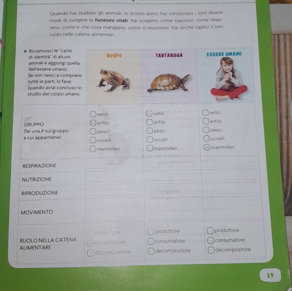Quando hai studiato gli animali, lo scorso anno, hai conosciuto i loro diversi 
modi di svolgere le funzioni vitali: hai scoperto come nascono, come respi- 
rano, come e che cosa mangiano, come si muovono. Hai anche capito il loro 
ruolo nelle catene alimentari 
19