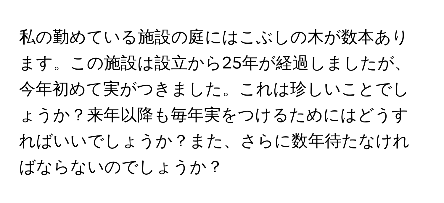 私の勤めている施設の庭にはこぶしの木が数本あります。この施設は設立から25年が経過しましたが、今年初めて実がつきました。これは珍しいことでしょうか？来年以降も毎年実をつけるためにはどうすればいいでしょうか？また、さらに数年待たなければならないのでしょうか？