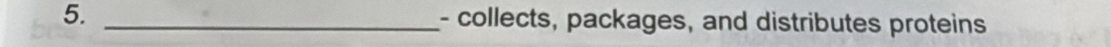 collects, packages, and distributes proteins