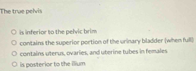 The true pelvis
is inferior to the pelvic brim
contains the superior portion of the urinary bladder (when full)
contains uterus, ovaries, and uterine tubes in females
is posterior to the ilium