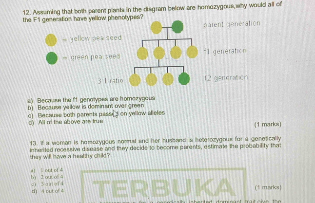 Assuming that both parent plants in the diagram below are homozygous,why would all of
the F1 generation have yellow phenotypes?
parent generation
= yellow pea seed
= green pea seed f1 generation
3 1 ratio f2 generation
a) Because the f1 genotypes are homozygous
b) Because yellow is dominant over green
c) Because both parents pass( on yellow alleles
d) All of the above are true
(1 marks)
13. If a woman is homozygous normal and her husband is heterozygous for a genetically
inherited recessive disease and they decide to become parents, estimate the probability that
they will have a healthy child?
a) l out of 4
b) 2 out of 4
c) 3 out of 4
d) 4 out of 4 (1 marks)