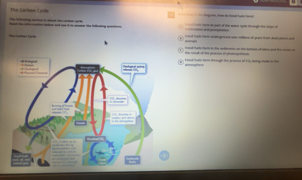 Gelöst:The Carbon Cycle 19 According to the diagram, how do fossil ...