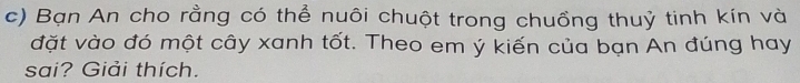 Bạn An cho rằng có thể nuôi chuột trong chuồng thuỷ tinh kín và 
đặt vào đó một cây xanh tốt. Theo em ý kiến của bạn An đúng hay 
sai? Giải thích.