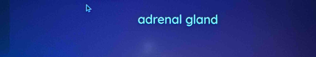 adrenal gland