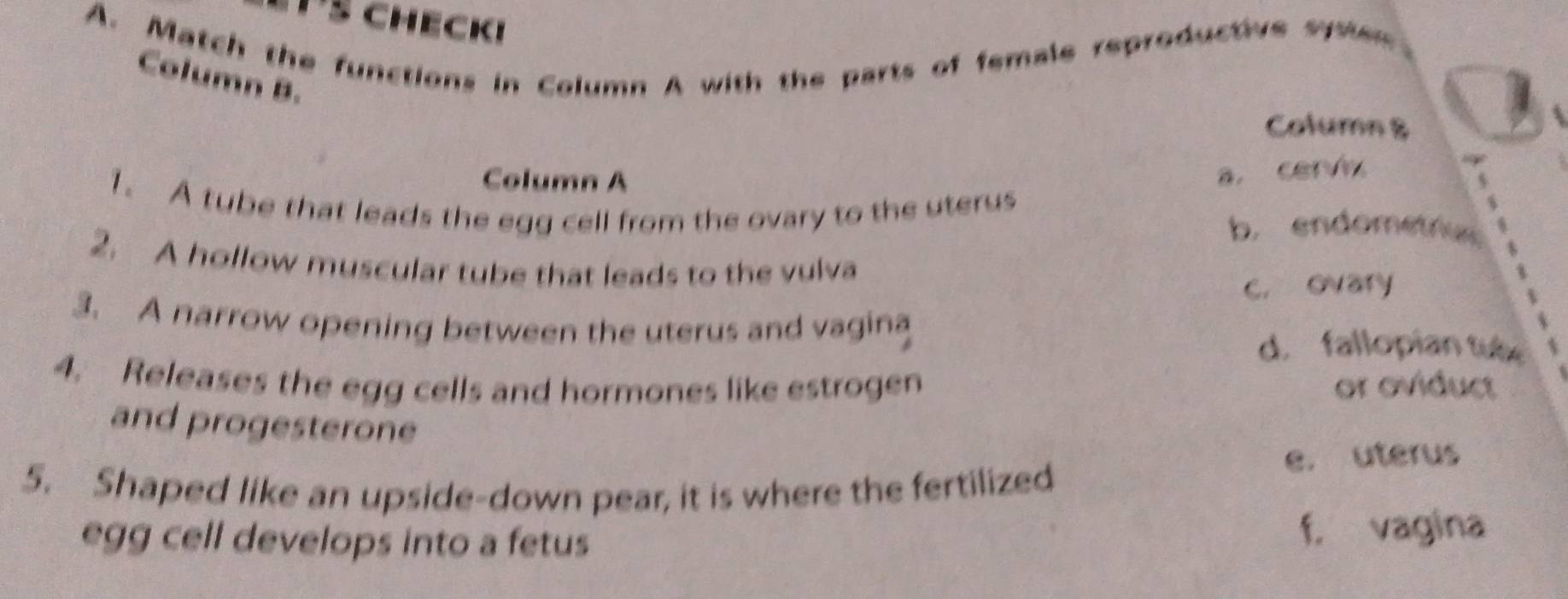 ¹½ checki
A. Match the functions in Column A with the parts of female reproductive sysen
Column B.
Column 8
Column A
a. cerv
1. A tube that leads the egg cell from the ovary to the uterus
s
b. endometrus
2. A hollow muscular tube that leads to the vulva
c. ovary
3. A narrow opening between the uterus and vagina
d. fallopian tub
4. Releases the egg cells and hormones like estrogen or oviduct
and progesterone
5. Shaped like an upside-down pear, it is where the fertilized
e. uterus
egg cell develops into a fetus f, vagina