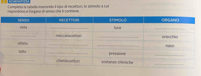 SCHEMATIZZA 
Completa la tabella inserendo il tipo di recettori, lo stimolo a cui 
rispondono e l'organo di senso che li contiene.