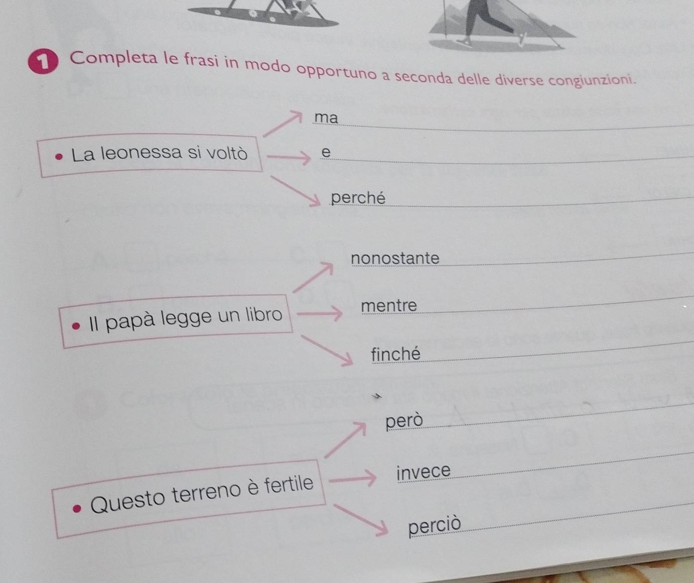 Completa le frasi in modo opportuno a seconda delle diverse congiunzioni. 
ma 
La leonessa si voltò e 
perché 
nonostante 
Il papà legge un libro 
mentre 
finché 
però 
Questo terreno è fertile invece 
perciò