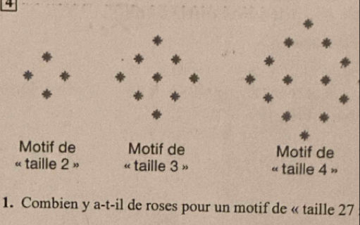 Motif de Motif de Motif de 
« taille 2 » « taille 3 » « taille 4 » 
1. Combien y a-t-il de roses pour un motif de « taille 27