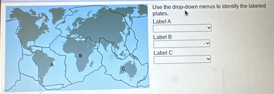 he drop-down menus to identify the labeled 
plates. 
Label A
l B
l C