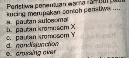 Peristiwa penentuan warna rambul paua
kucing merupakan contoh peristiwa ....
a. pautan autosomal
b. pautan kromosom X
c. pautan kromosom Y
d. nondisjunction
e. crossing over