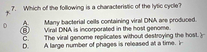 Which of the following is a characteristic of the lytic cycle?
D A. Many bacterial cells containing viral DNA are produced.
B Viral DNA is incorporated in the host genome.
C. The viral genome replicates without destroying the host.
D. A large number of phages is released at a time.