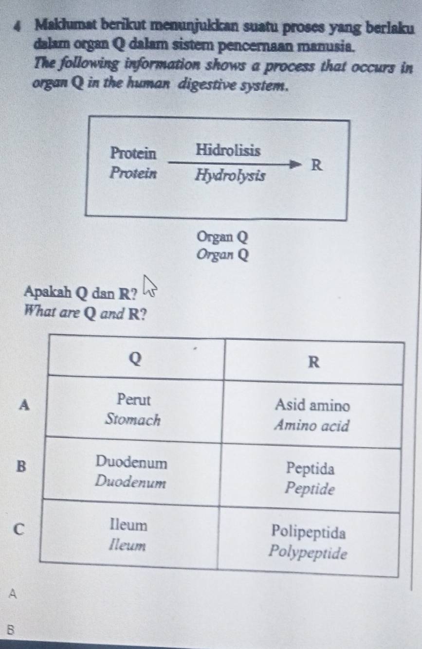 Maklumat berikut menunjukkan suatu proses yang berlaku
dalam organ Q dalam sistem pencernaan manusia.
The following information shows a process that occurs in
organ Q in the human digestive system.
Protein Hidrolisis
Protein Hydrolysis
R
Organ Q
Organ Q
Apakah Q dan R?
What are Q and R?
A
B