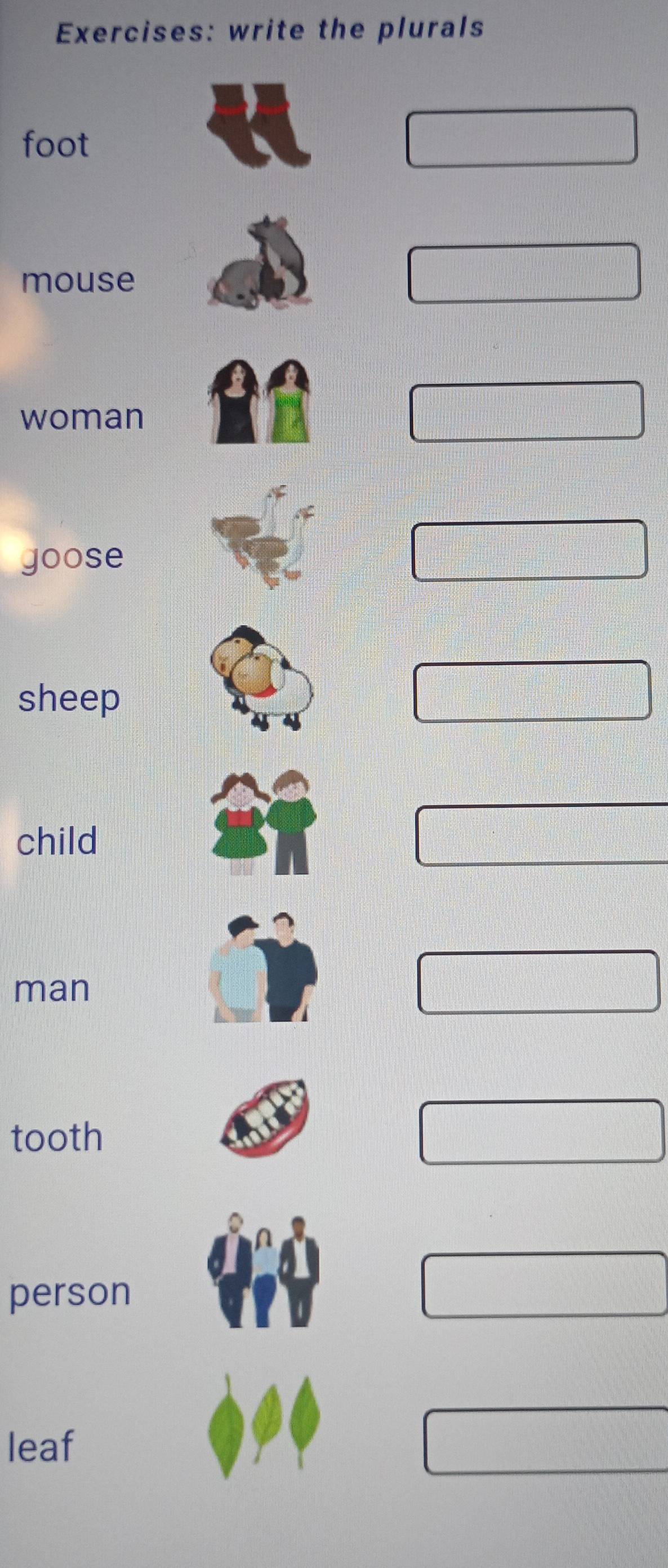 write the plurals 
foot 
mouse 
woman 
goose 
sheep 
child 
man 
tooth 
person 
leaf