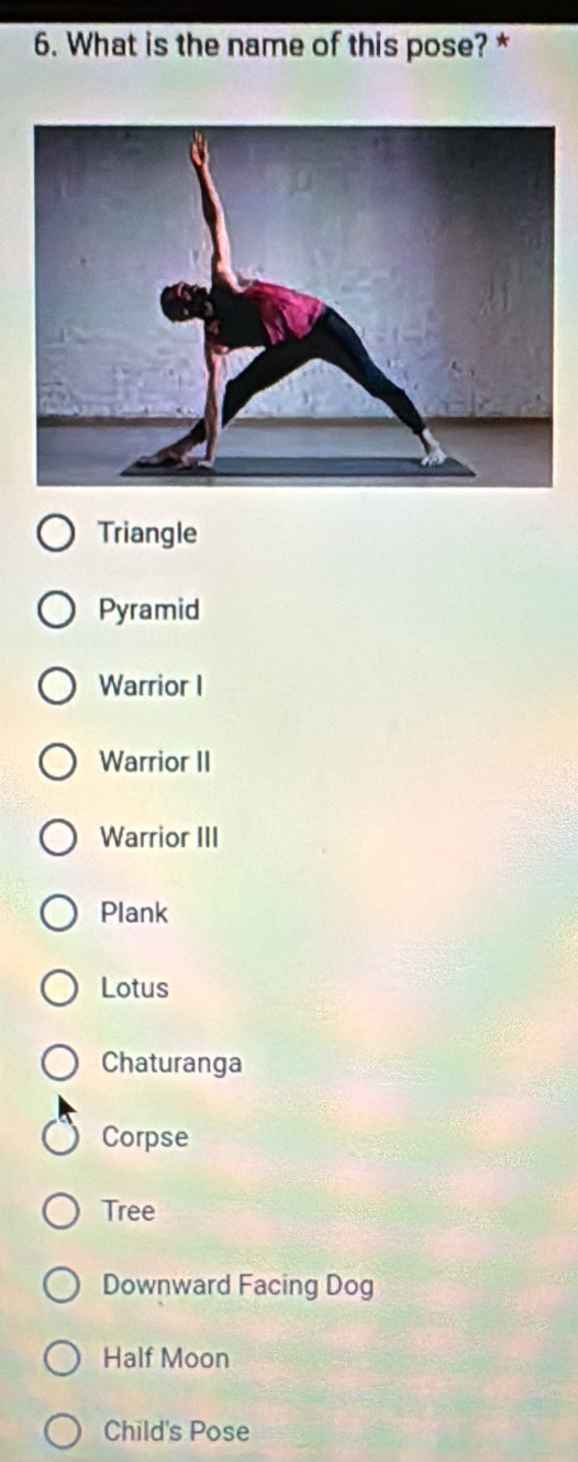 What is the name of this pose? *
Triangle
Pyramid
Warrior I
Warrior II
Warrior III
Plank
Lotus
Chaturanga
Corpse
Tree
Downward Facing Dog
Half Moon
Child's Pose