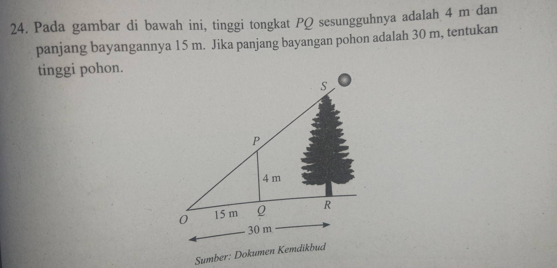 Pada gambar di bawah ini, tinggi tongkat PQ sesungguhnya adalah 4 m dan 
panjang bayangannya 15 m. Jika panjang bayangan pohon adalah 30 m, tentukan 
tinggi pohon.