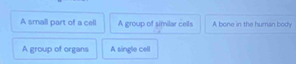 A small part of a cell A group of similar cells A bone in the human body
A group of organs A single cell