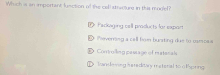 Which is an important function of the cell structure in this model?
D Packaging cell products for export
@ Preventing a cell from bursting due to osmosis
⑪ Controlling passage of materials
D Transferring hereditary material to offspring